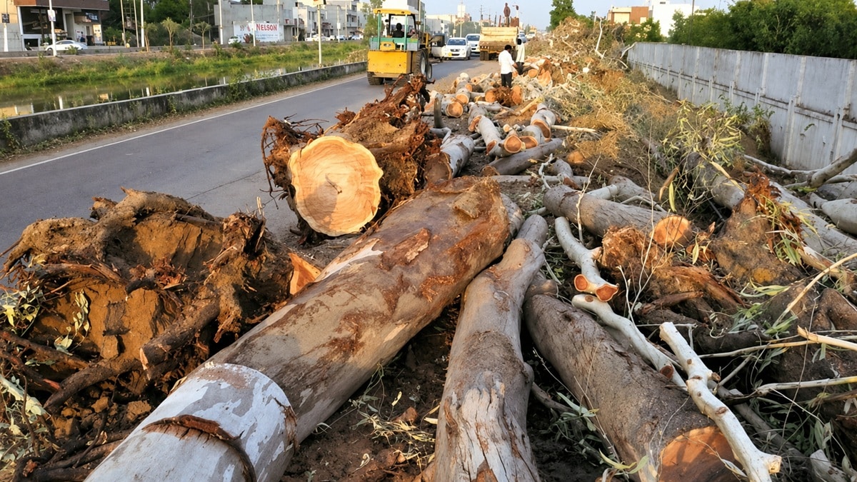 Vehicles moving along an urban road corridor
